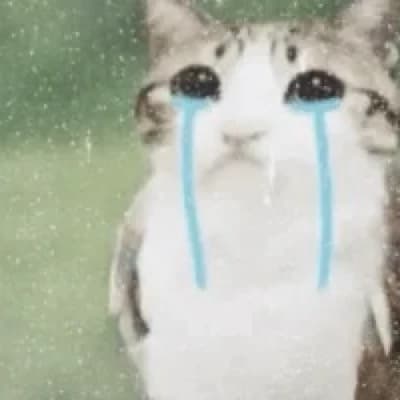 Sad Meowl thumbnail