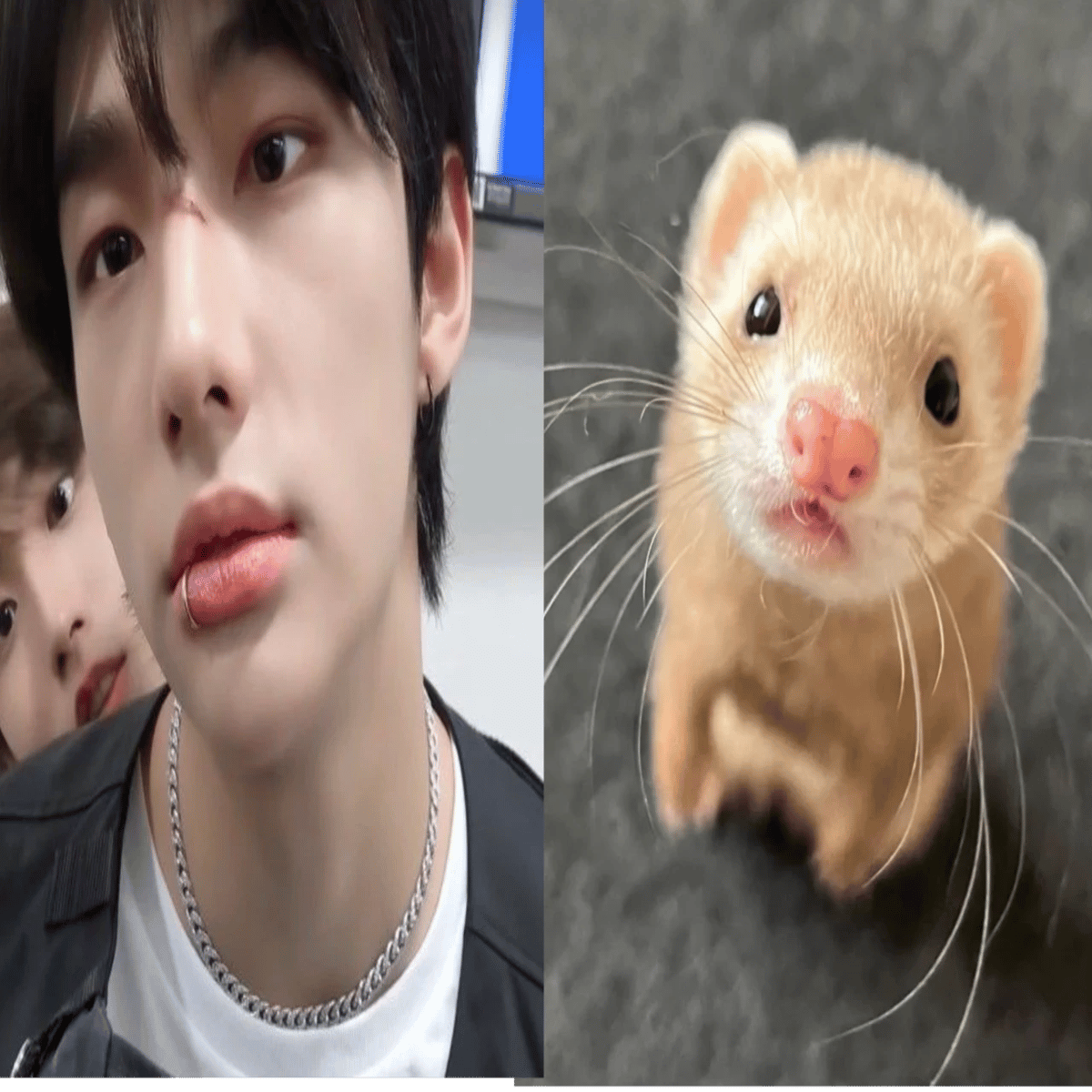 Hynjin thumbnail