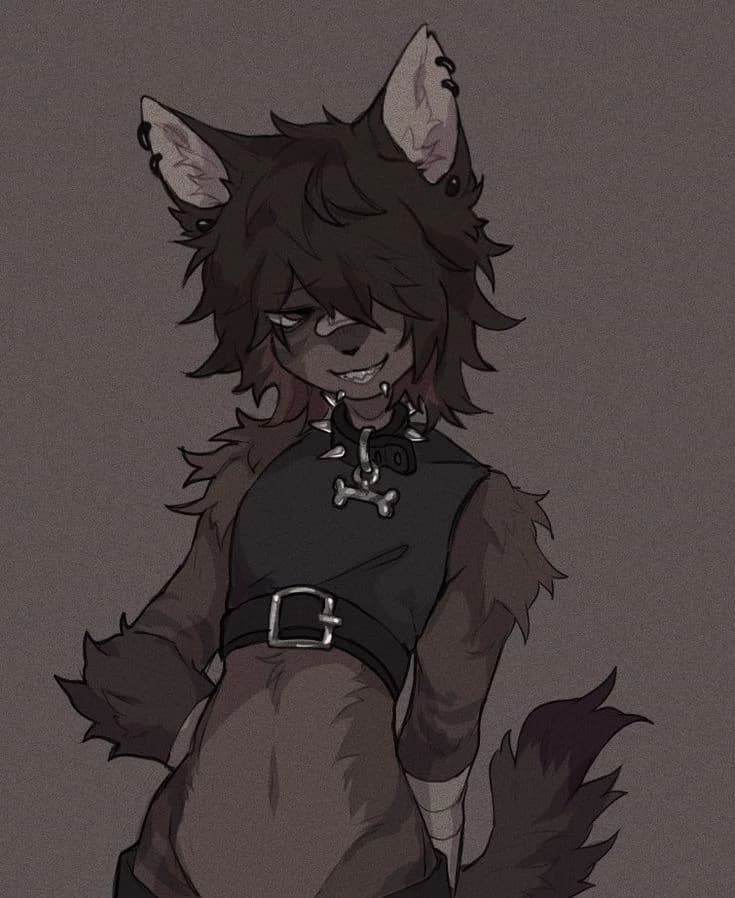 Tu amigo femboy furro thumbnail