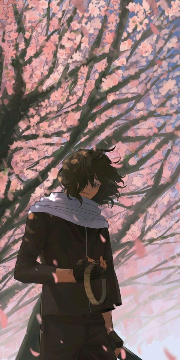 Aizawa  thumbnail