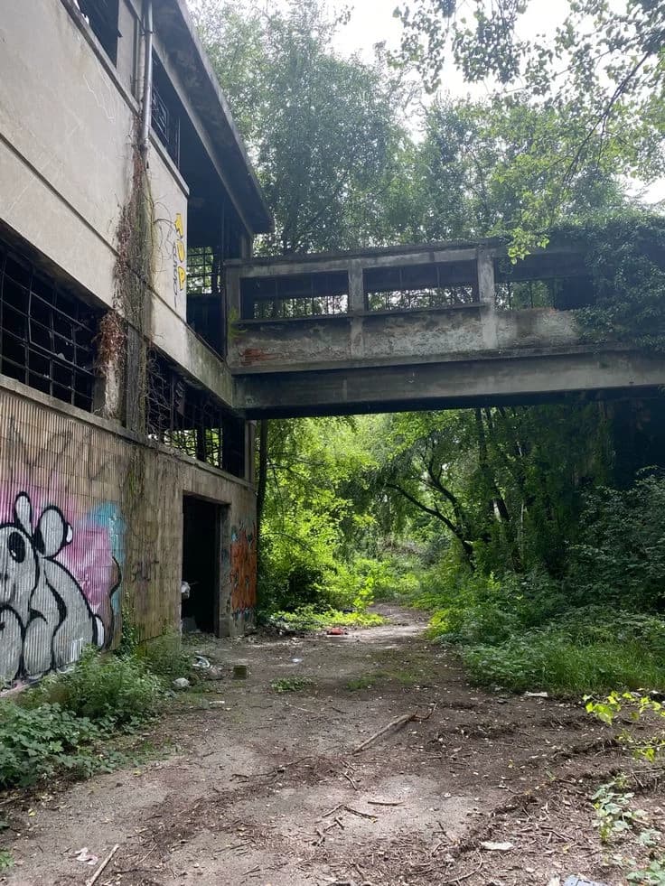 Create your story in the abandoned school thumbnail