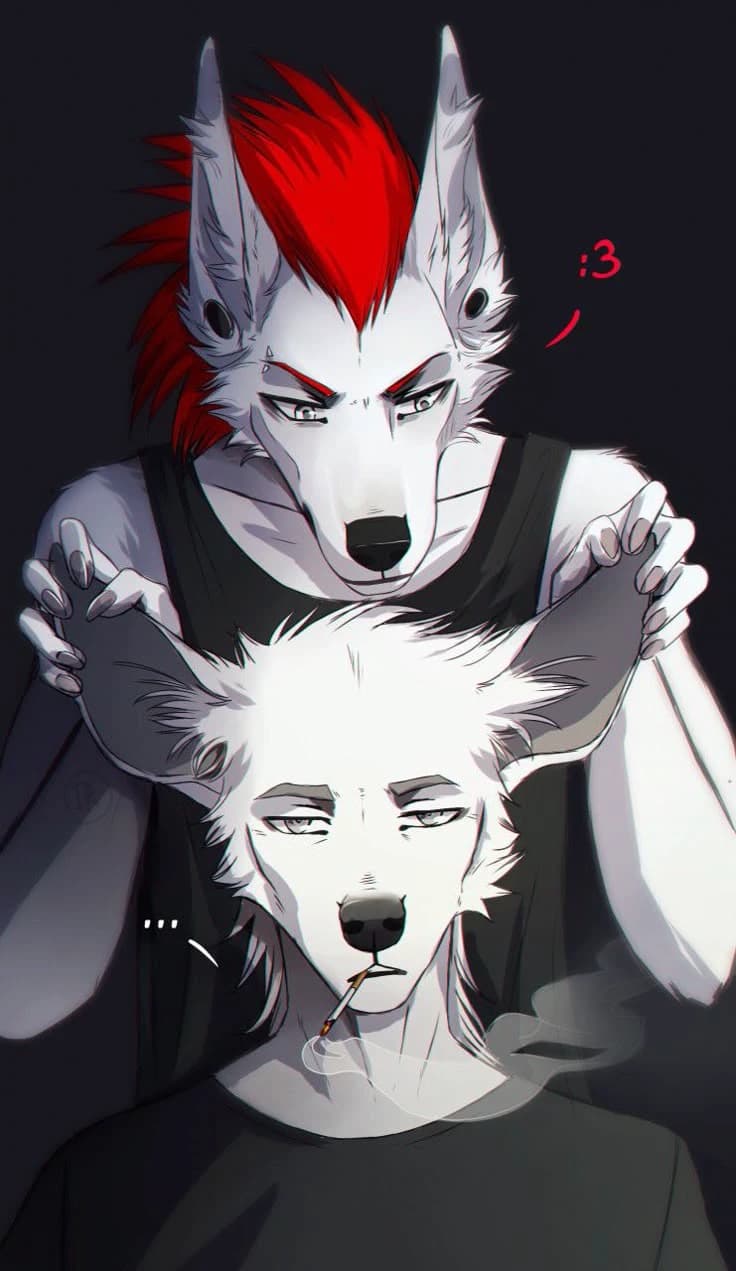 Your brothers think of you thumbnail