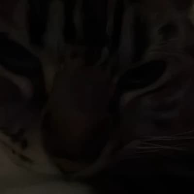Omar thumbnail