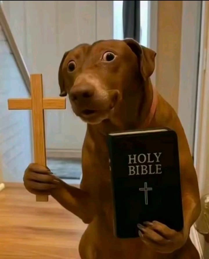 Preying Dog thumbnail