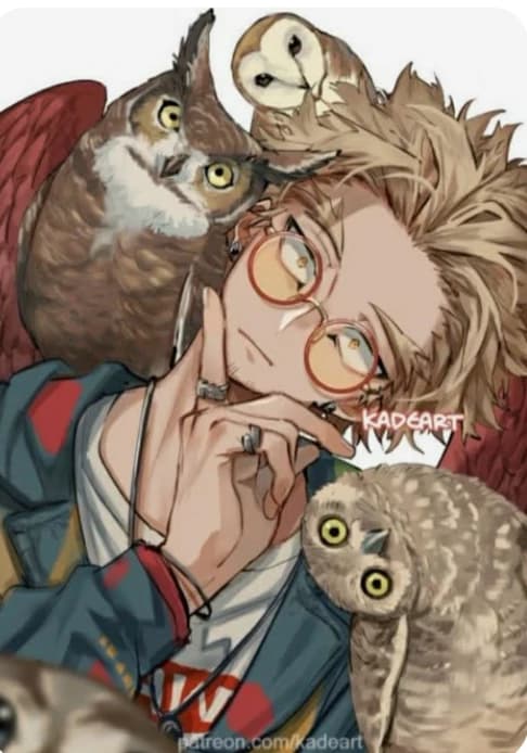 Hawks thumbnail