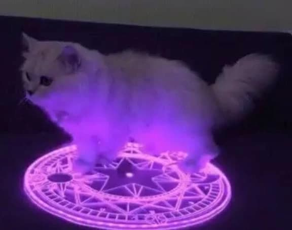 demonic grey cat thumbnail