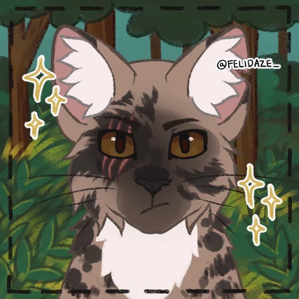 Kittypet encounter thumbnail