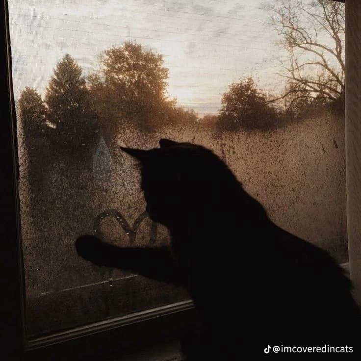 Shadow thumbnail