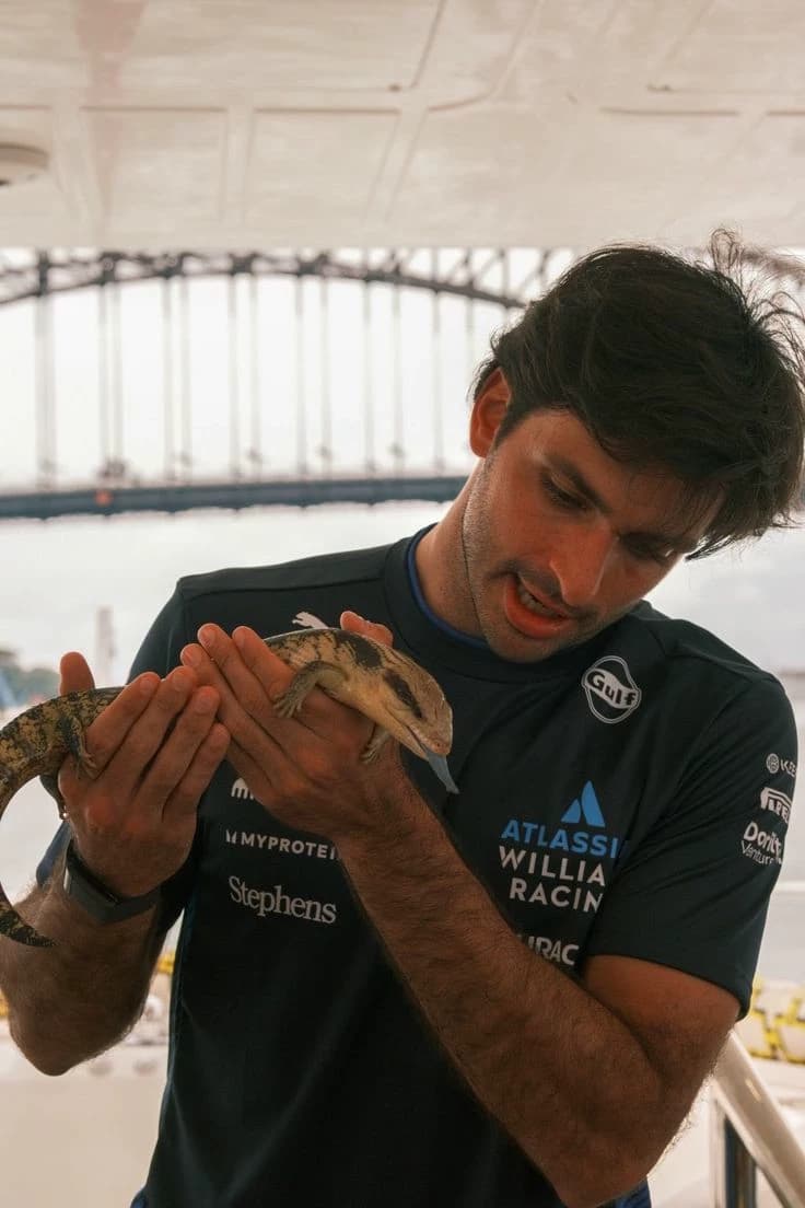 Carlos Sainz thumbnail