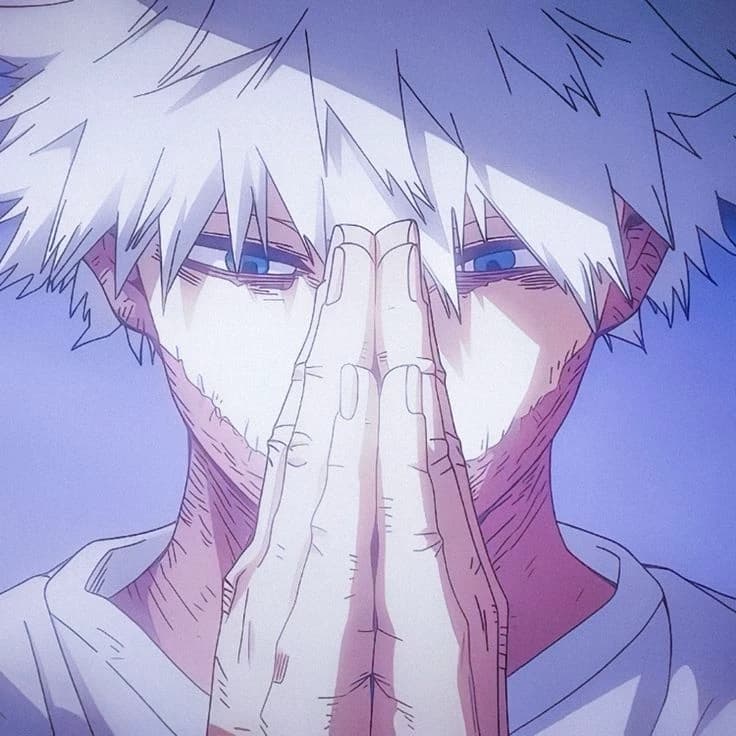 Touya Todoroki thumbnail