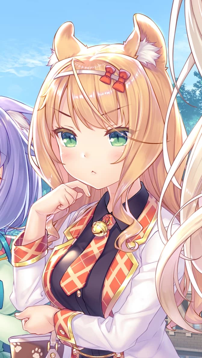 Maple thumbnail