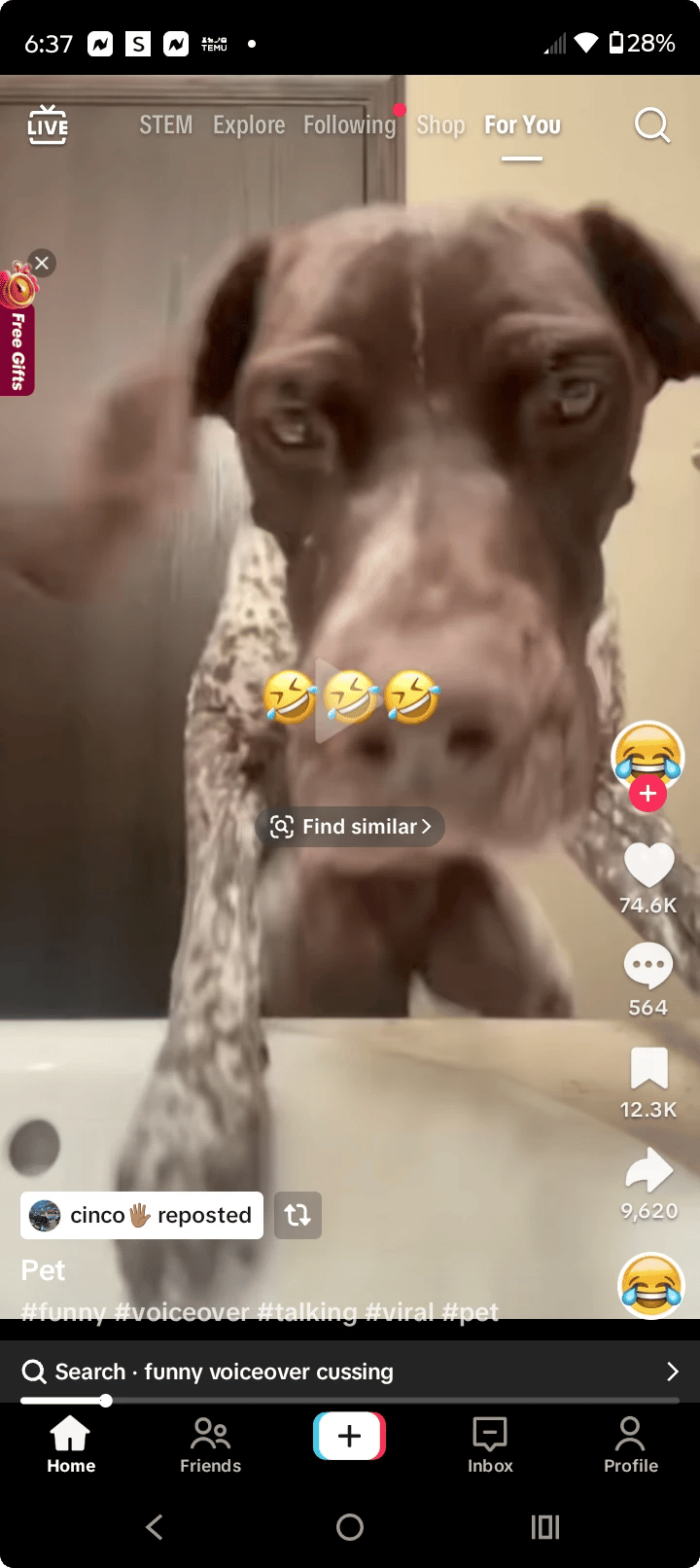 Dog funny video thumbnail