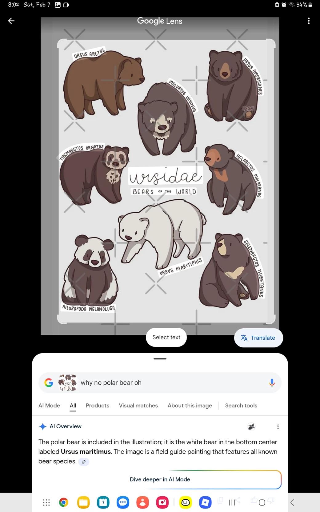 Bear family thumbnail