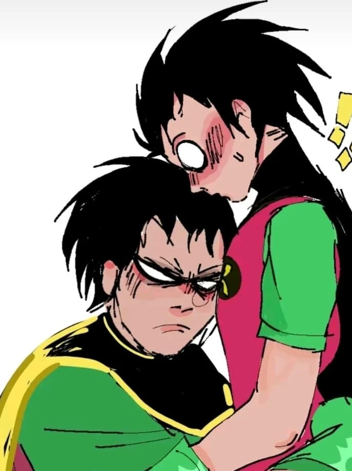 Robin x Robin TT (Medium BL and Teen Titans series) thumbnail