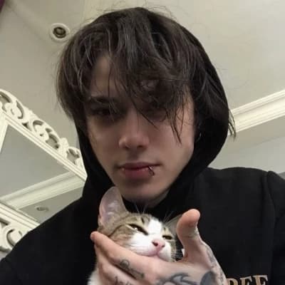 Aiden thumbnail