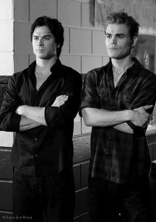 Salvatore brothers thumbnail