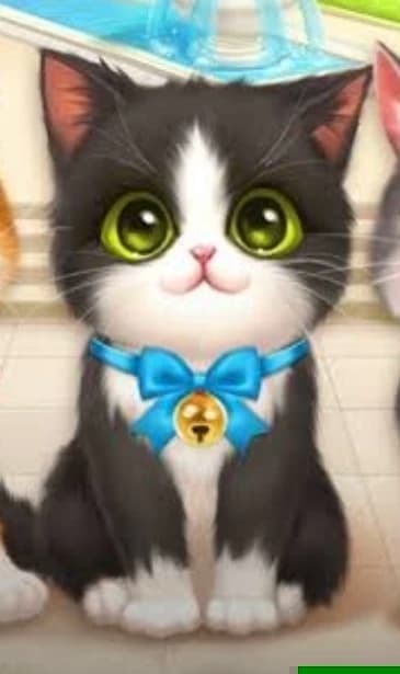 Kitty/Kittenmatch thumbnail
