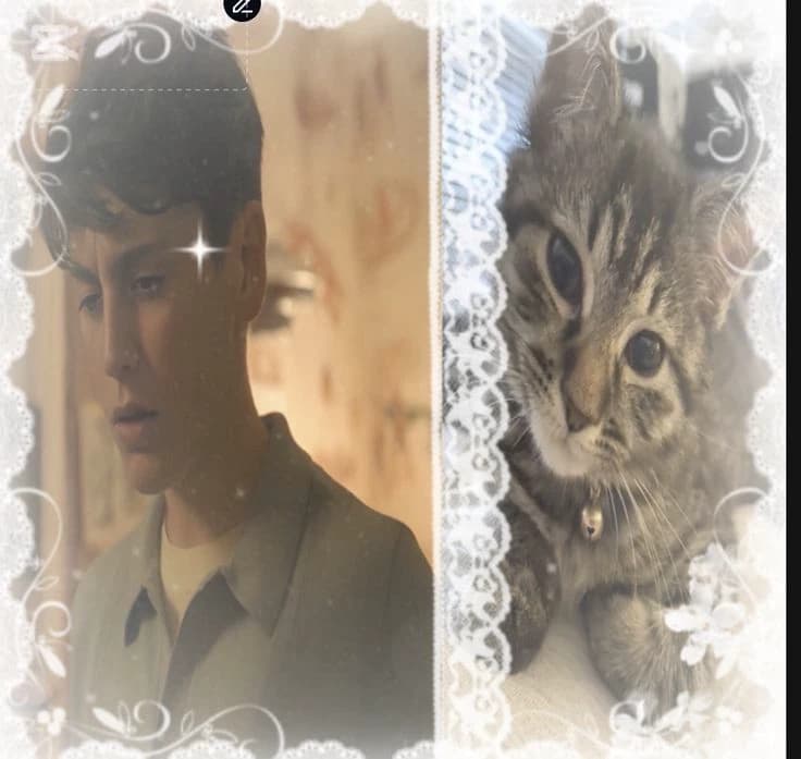 Phil thumbnail