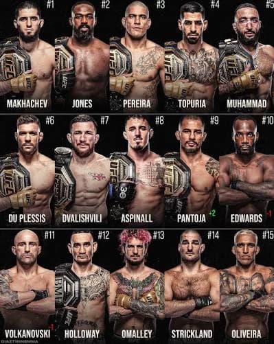 UFC  thumbnail