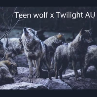 Teen Wolf x Twilight AU thumbnail