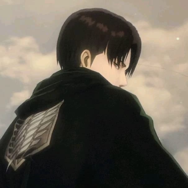 LEVI ACERMAN thumbnail