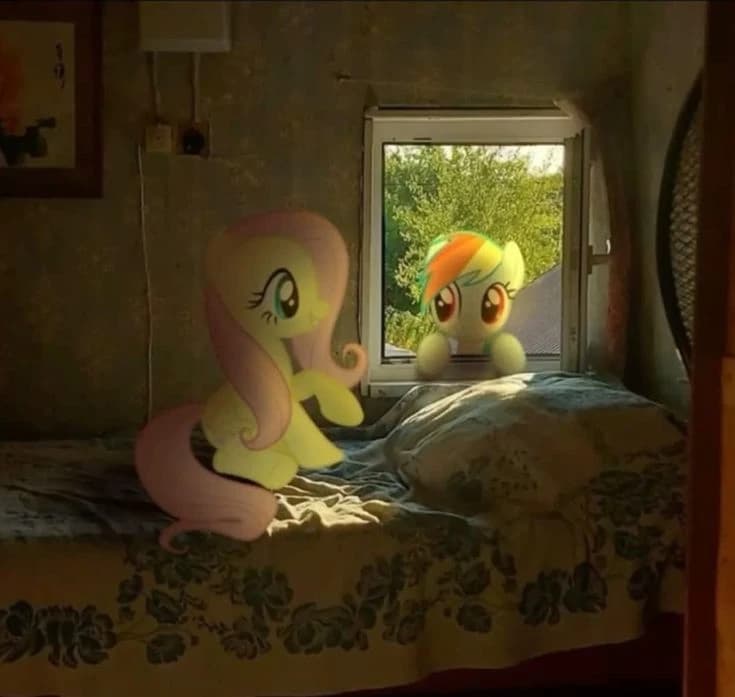 Friendly visit - a visit of your friend to the human world thumbnail