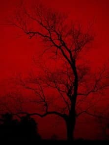 Red world...? thumbnail