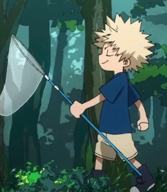 Big Brother Bakugo thumbnail