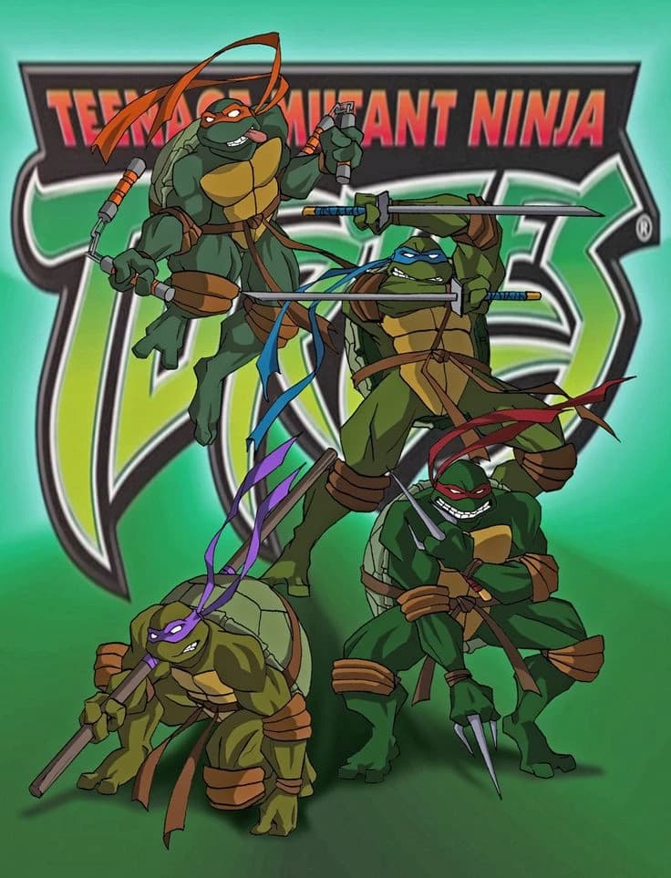 Teenage Mutant Ninja Turtles 2003 💙❤️💜🧡 thumbnail