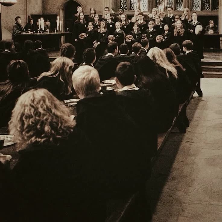 Dumbledore, draco, Harry, Hermione, Ron, Blaise, Tom, Mattheo, Ginny y Pansy thumbnail