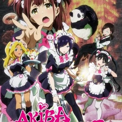 Akiba Maid War  thumbnail