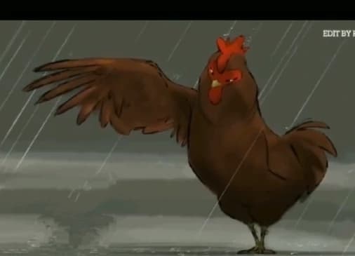 Hen thumbnail