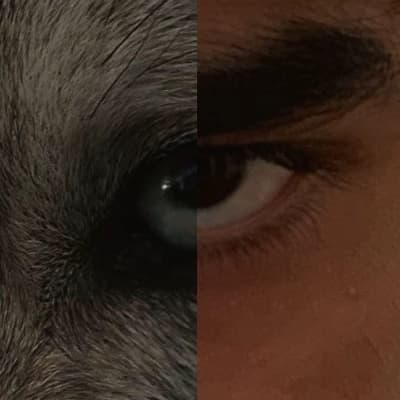 Ethan thumbnail