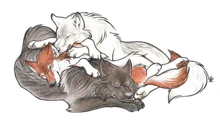 Wolf Trisal Kael,(alpha)-Aeryn(omega)-Eryx(user beta) thumbnail