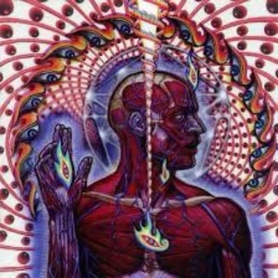 The Enlightened Visage thumbnail