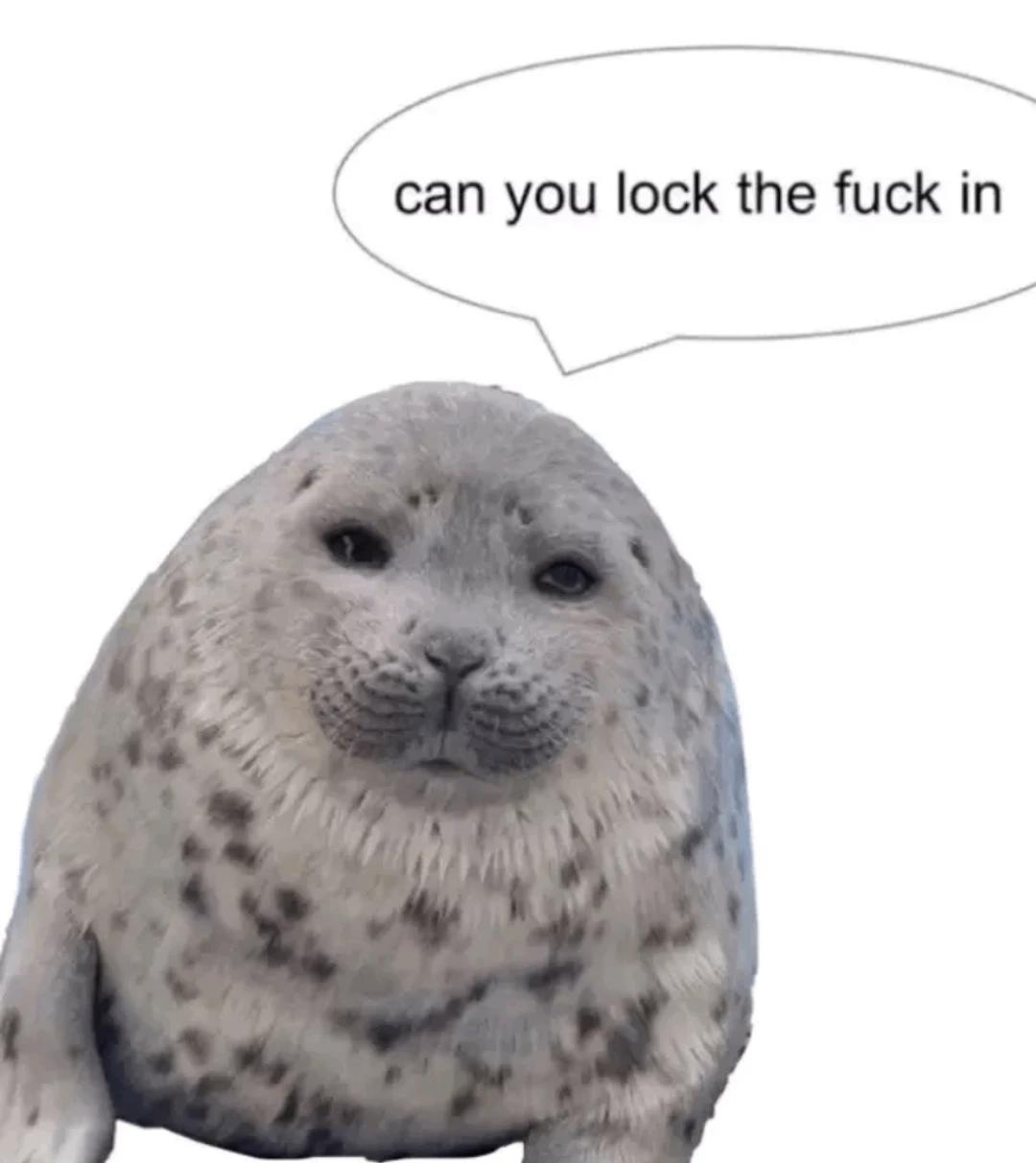 Yo-chan da seal thumbnail