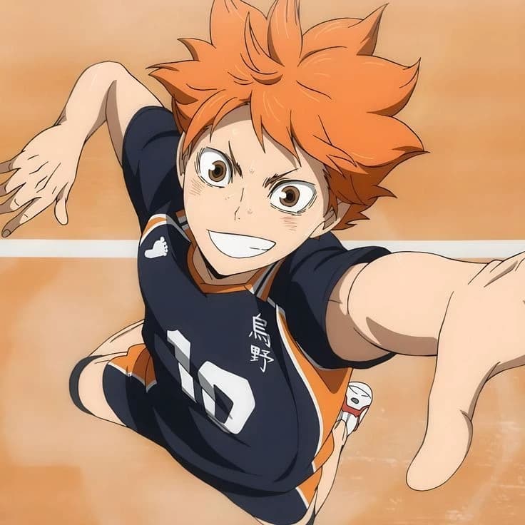 Hinata Shoyo ★ thumbnail