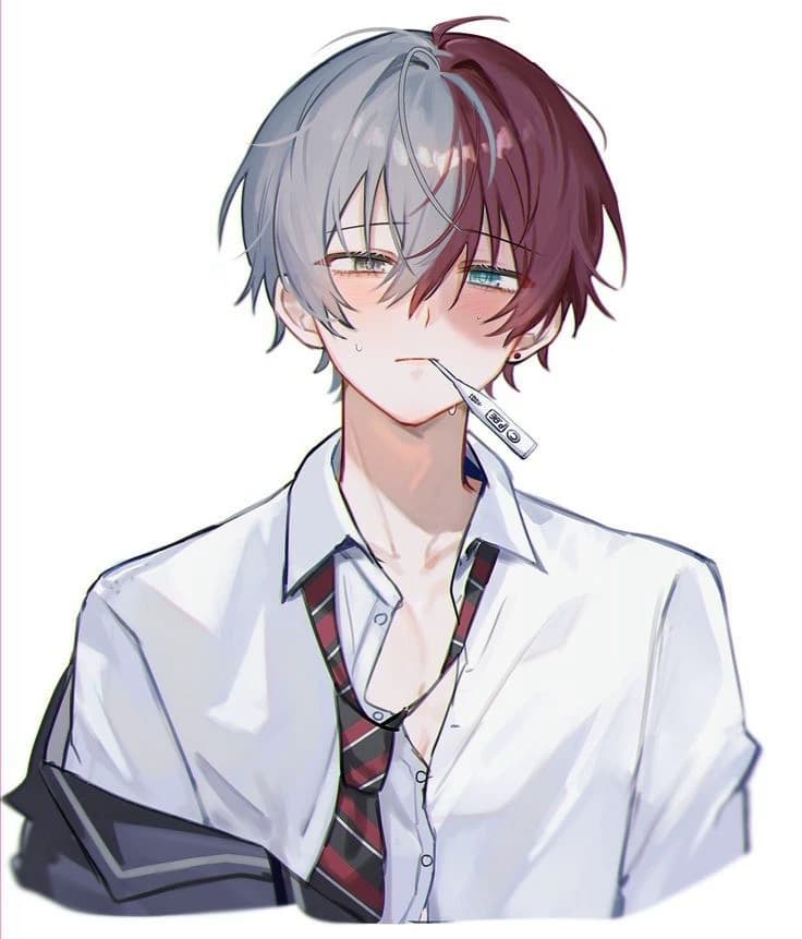 Shoto Todoroki  thumbnail