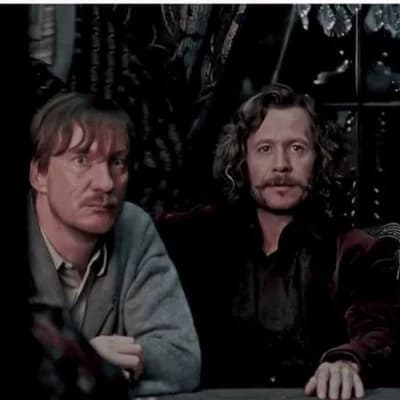 Remus Lupin x Sirius black(*Your dad's/your father's*) thumbnail