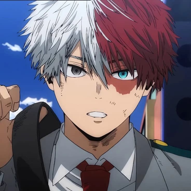 Todoroki shoto thumbnail