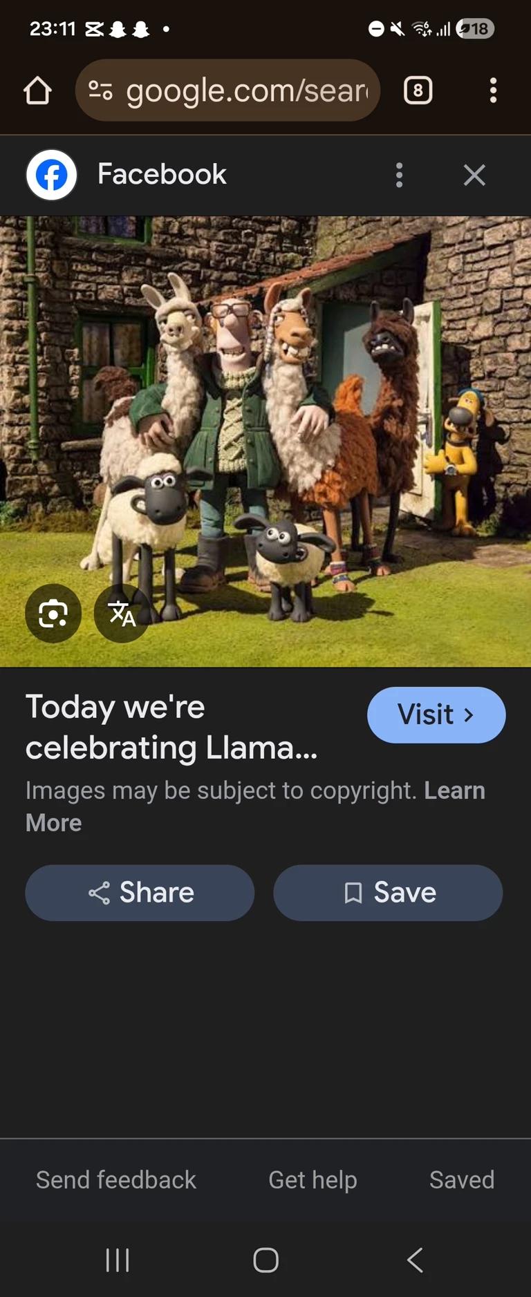 The llamas thumbnail