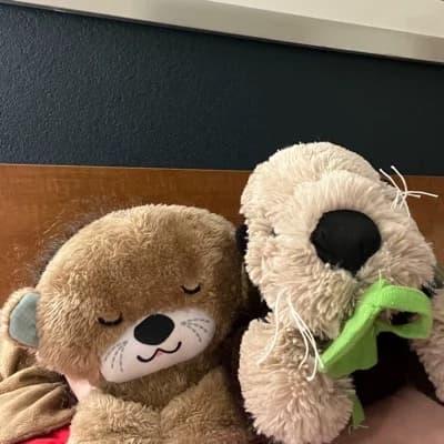 The Otter Sisters (Ottie Tottie and Potato Leak) thumbnail