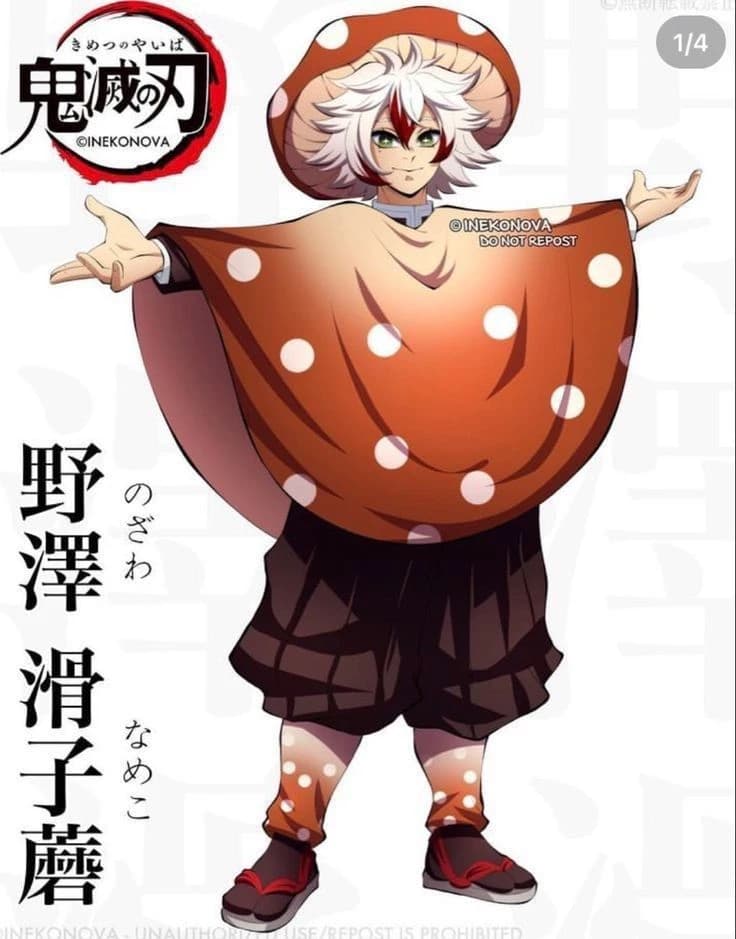 Nozawa Nameko °Mushroom Hashira° thumbnail