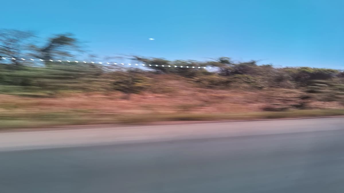 Crazy neighborhood thumbnail
