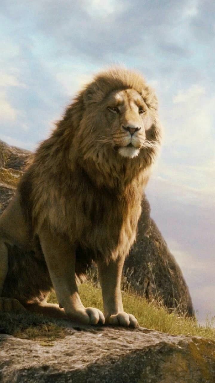 Aslan thumbnail