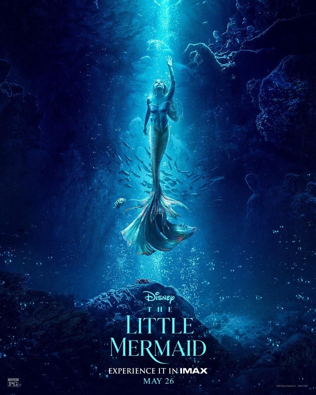 45–The Little Mermaid RPG thumbnail