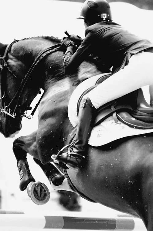 Horse girl  thumbnail