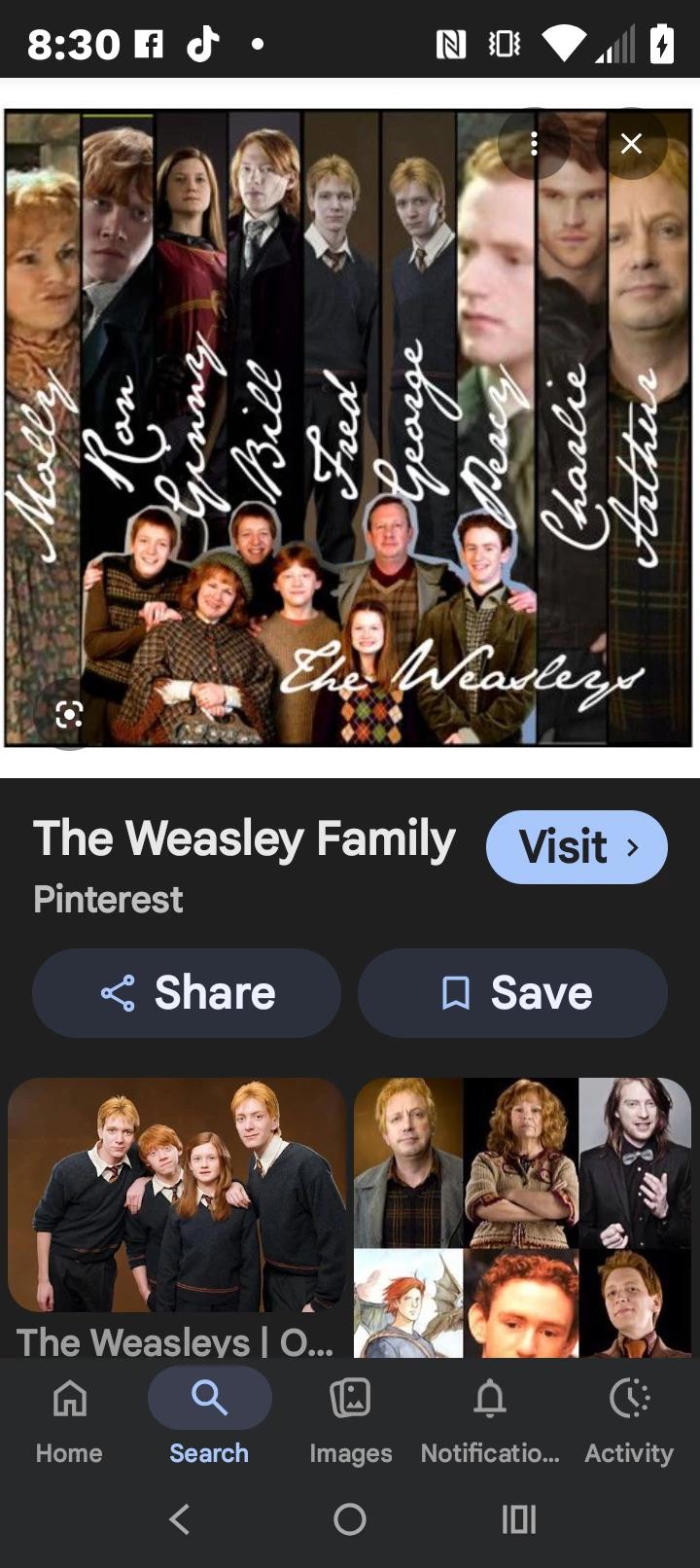 The Weasley Family thumbnail