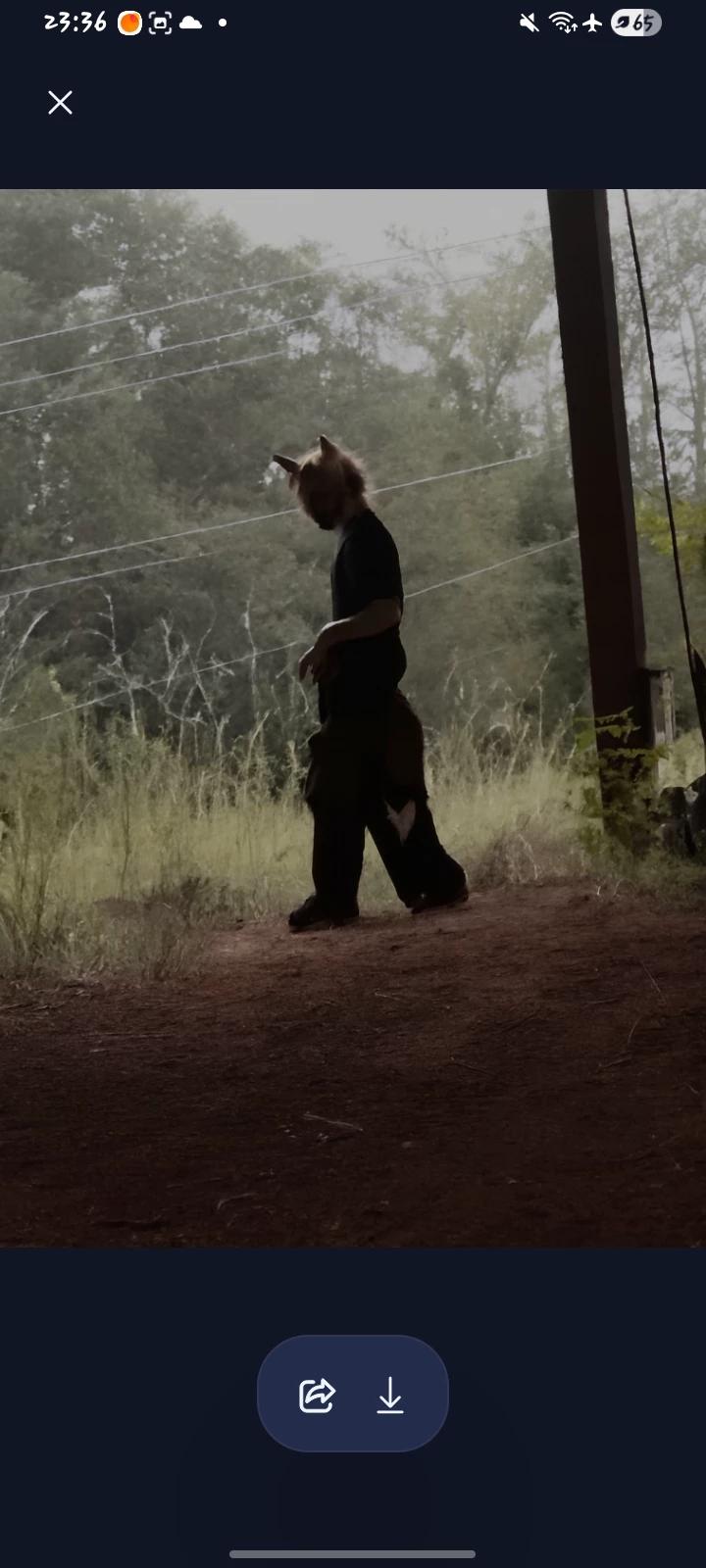 *Coyote Therian* thumbnail