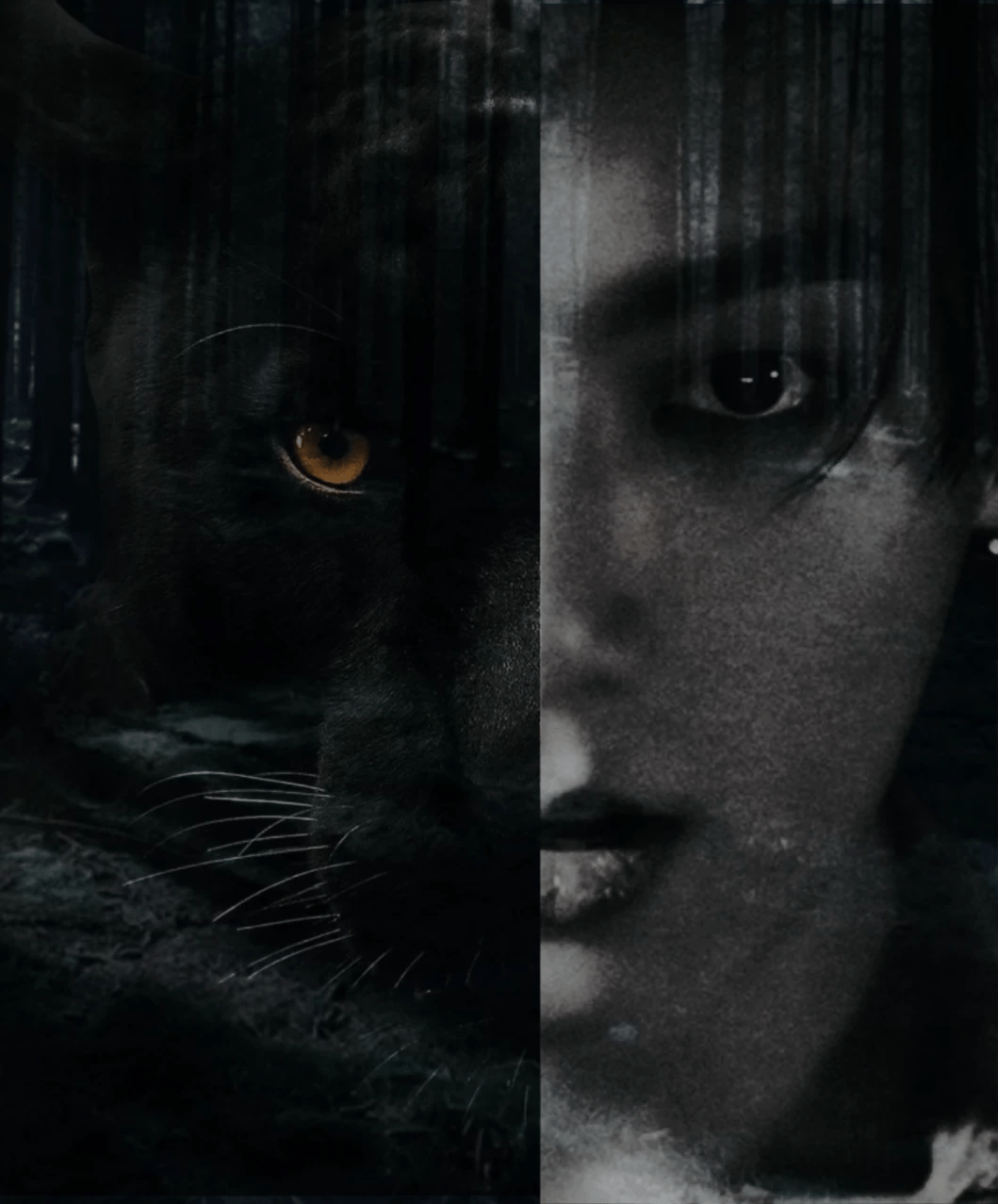 𝓙𝓔𝓞𝓝 𝓙𝓤𝓝𝓖𝓚𝓞𝓞𝓚🌑 thumbnail